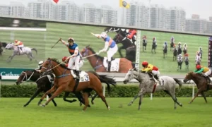 Khám Phá Cá Cược Đua Ngựa EV88 Chinh Phục Mọi Đường Đua