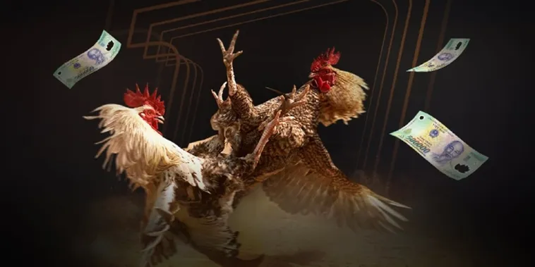 Đá Gà EV88 Trực Tiếp Trận Đấu Kinh Điển Rinh Thưởng Lớn Ngay